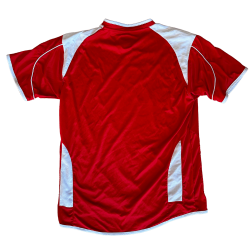 Charlton Athletic 2007-08 Hjemmebane (God) Large