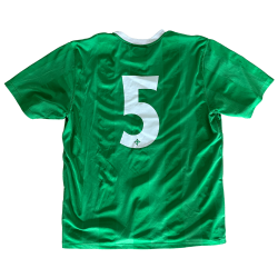 Nordirland 2010-12 Hjemmebane. (God) Large