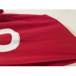 Danmark 2010/12 Hjemmebane. Jesper Gr�nkj�r #8 (God)  Large