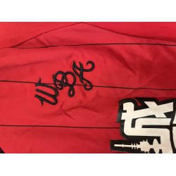  West Bromwich Albion 2015-16 Udebane (Okay) Large