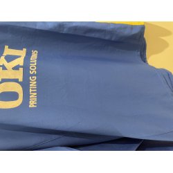 Portsmouth 2005/06 Hjemmebanetr�je L/� Brian Priske (God) Large