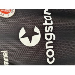 St. Pauli 2015/16 Hjemmebane (God) Large