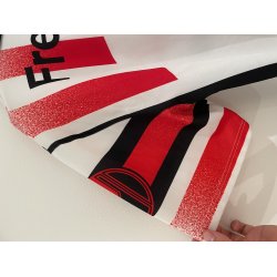 Freiburg 1995-96 Udebanetr�je (God) Large