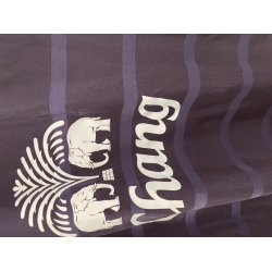 Buriram United 2019/20. (God) Small