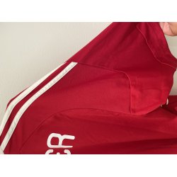 Danmark 2010/12 Hjemmebane. Nicklas Bendtner #11 (God) Large