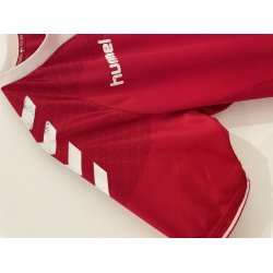 Danmark 2016 Hjemmebanetr�je. (God/fin) Medium