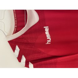 Danmark 2016 Hjemmebanetr�je. (God/fin) Medium