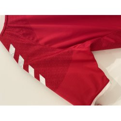 Danmark 2016 Hjemmebanetr�je. (God/fin) Medium