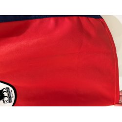 Arsenal 1998/99 Hjemmebanetr�je. Dennis Bergkamp #10 (God) Large - Oversized fit