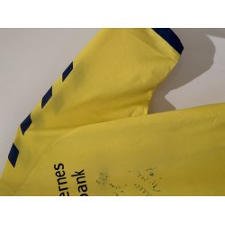 Br�ndby IF 2016/2017 Hjemmebanetr�je. (God) Medium
