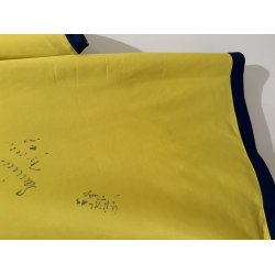 Br�ndby IF 2016/2017 Hjemmebanetr�je. (God) Medium
