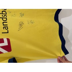 Br�ndby IF 2016/2017 Hjemmebanetr�je. (God) Medium