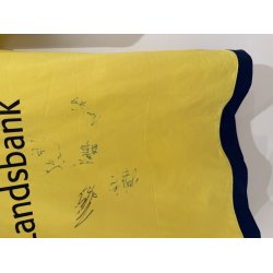 Br�ndby IF 2016/2017 Hjemmebanetr�je. (God) Medium