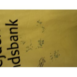 Br�ndby IF 2016/2017 Hjemmebanetr�je. (God) Medium