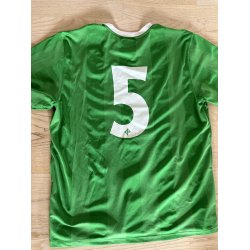 Nordirland 2010-12 Hjemmebane. (God) Large