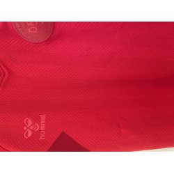 Danmark 2022 Hjemmebanetrje. (God) 152