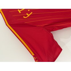 Spanien 2006/08 Hjemmebanetr�je. Fernando Torres #9 (God) X-Large