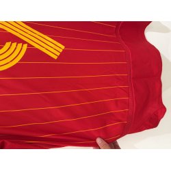 Spanien 2006/08 Hjemmebanetr�je. Fernando Torres #9 (God) X-Large