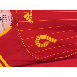 Spanien 2006/08 Hjemmebanetr�je. Fernando Torres #9 (God) X-Large