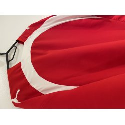 Schweiz 2006 Hjemmebanetr�je. (God) Large