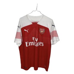 Arsenal 2018/2019 Hjemmebanetr�je. Mesut �zil #10 (God) Large 