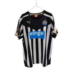 Newcastle United Hjemmebane. 2014/15. (God) Large